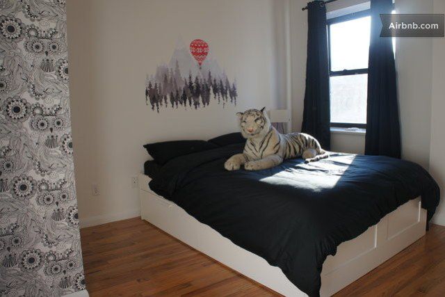 Wouldn't you like to stay in this Lower East Side apartment? There's a white tiger there!